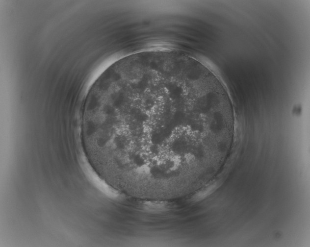 X0000112530859200908311421