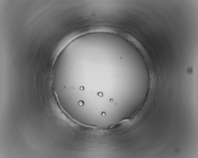 X0000112530860200908311421