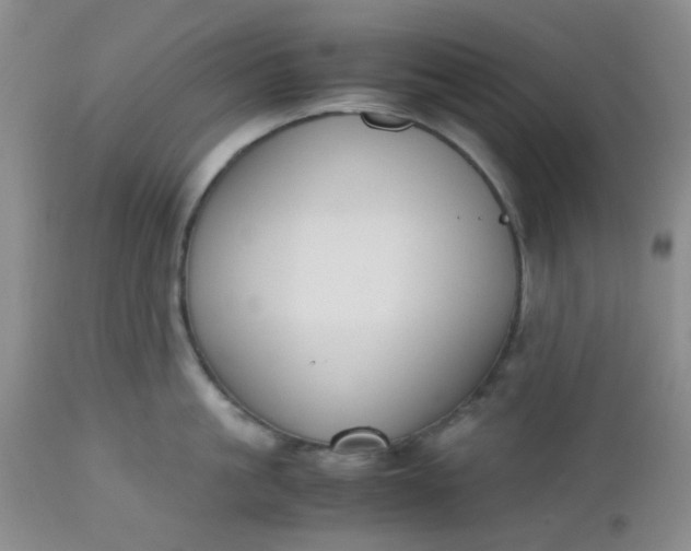 X0000112530861200908311421