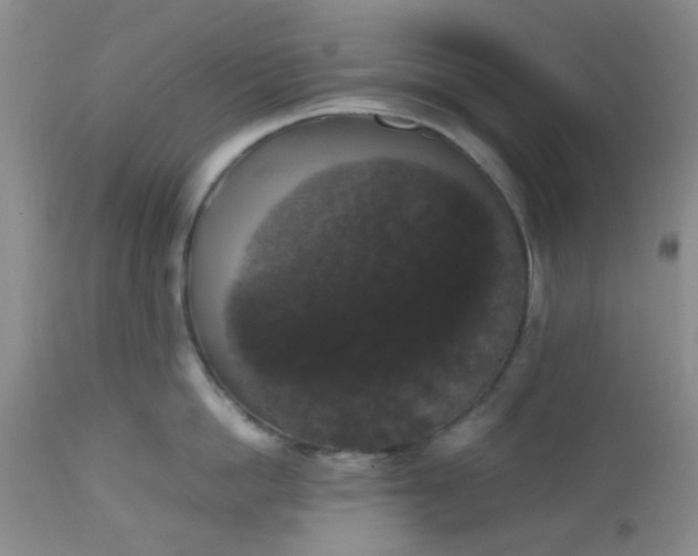 X0000112530862200908311421