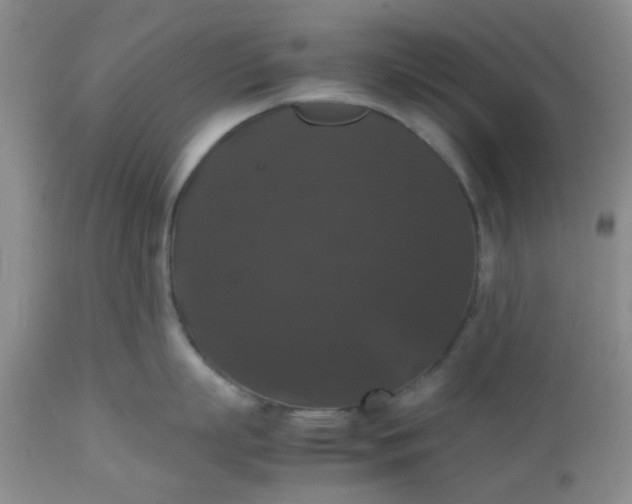 X0000112530863200908311421
