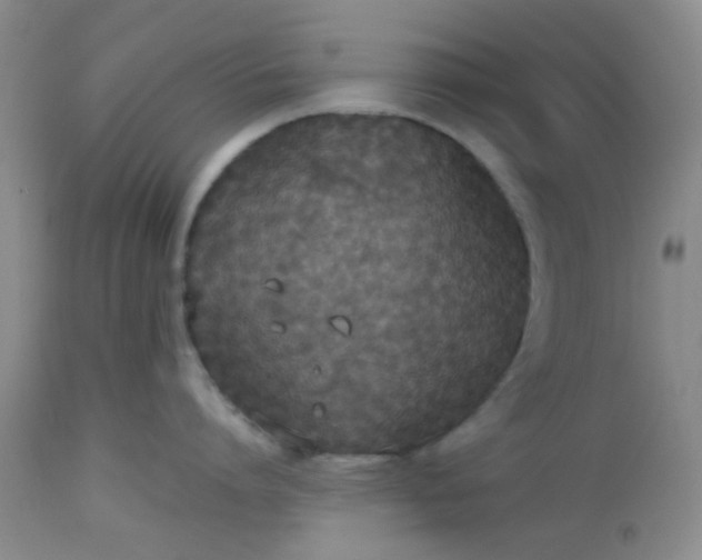 X0000112530864200908311421
