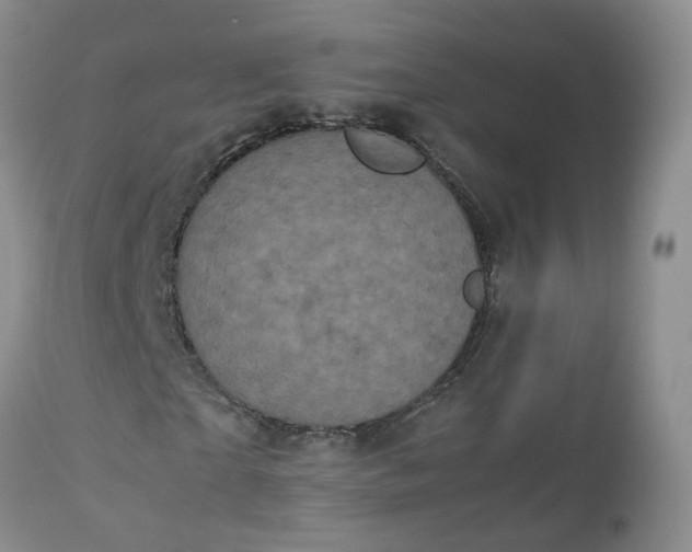 X0000112530865200908311420