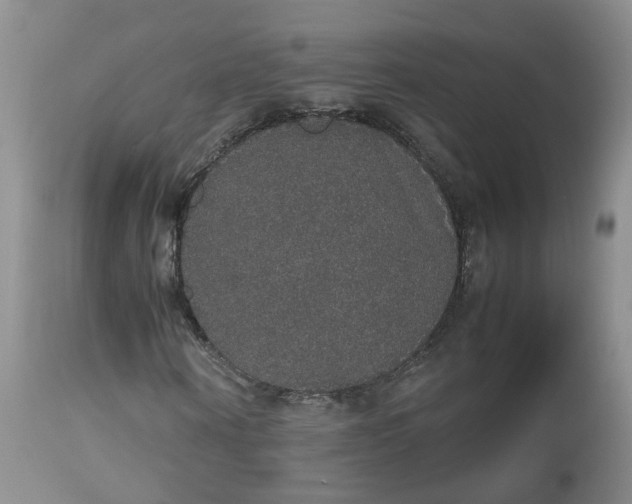 X0000112530866200908311420