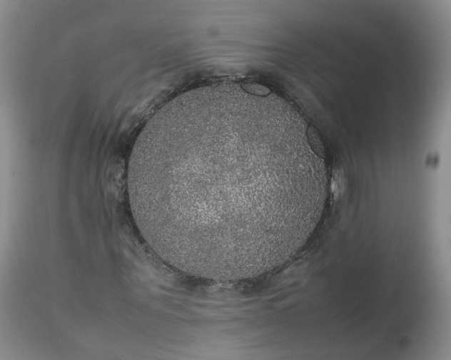 X0000112530867200908311420