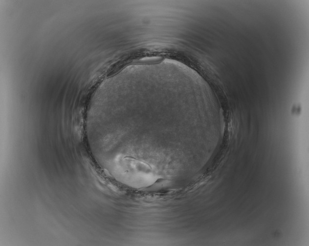 X0000112530868200908311420