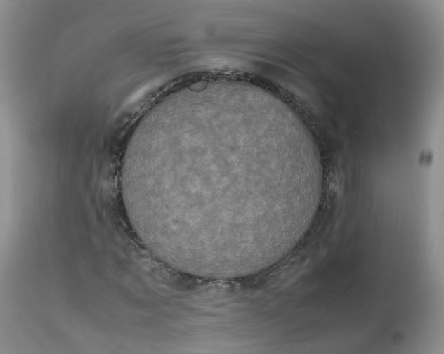 X0000112530869200908311420
