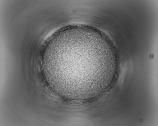 X0000112530871200908311420