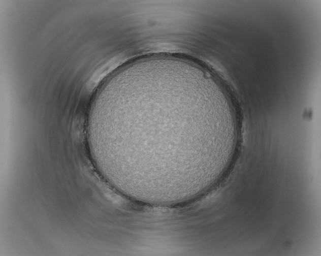 X0000112530873200908311420