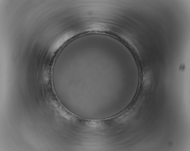 X0000112530874200908311420