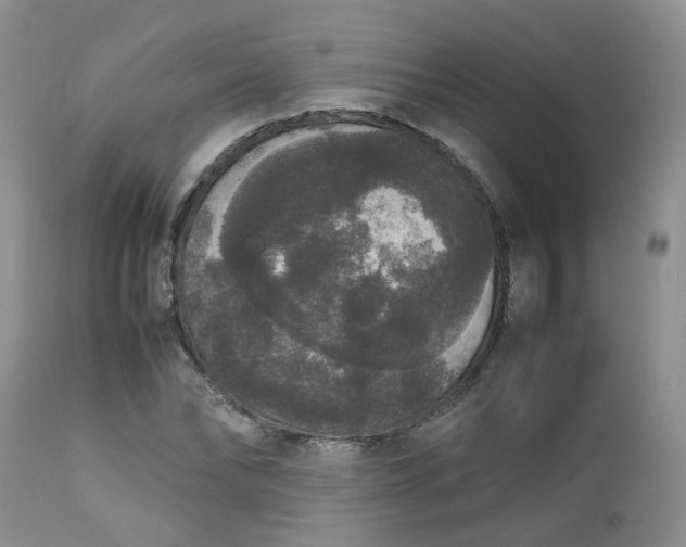 X0000112530878200908311420