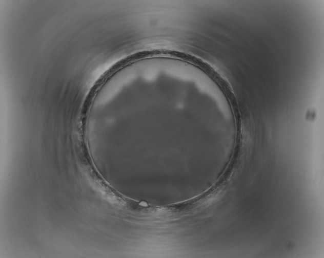 X0000112530879200908311420