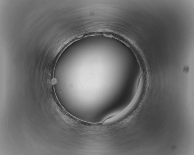 X0000112530881200908311420