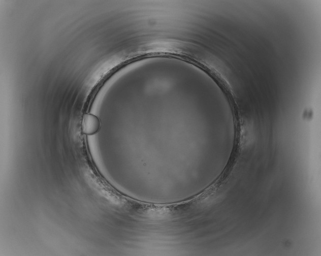 X0000112530882200908311420
