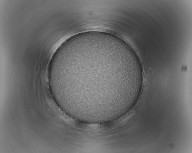 X0000112530883200908311420