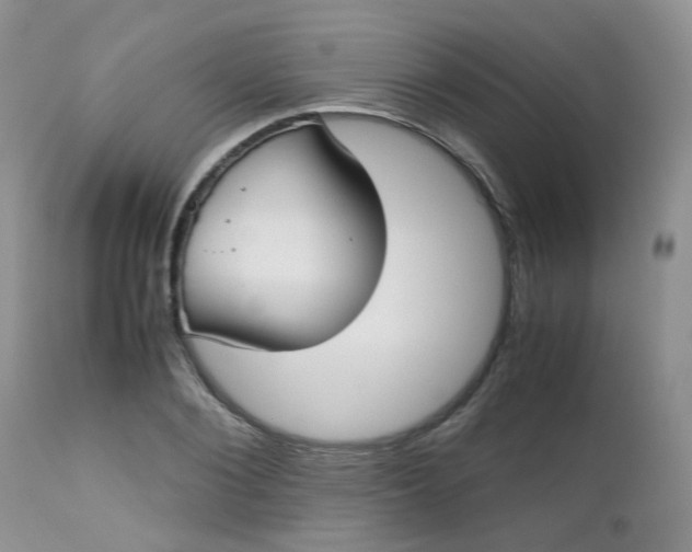 X0000112530884200908311420