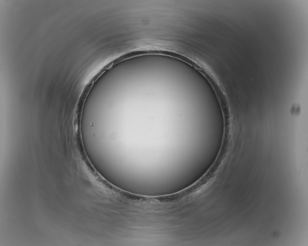 X0000112530885200908311420