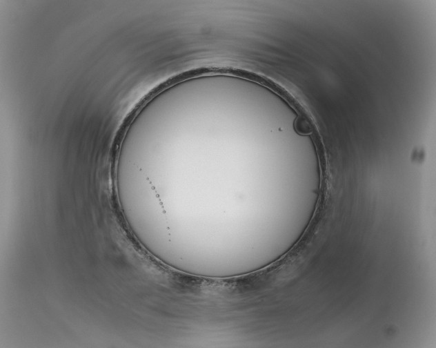 X0000112530887200908311420