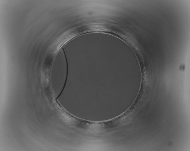 X0000112530889200908311420