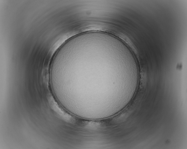 X0000112530890200908311420