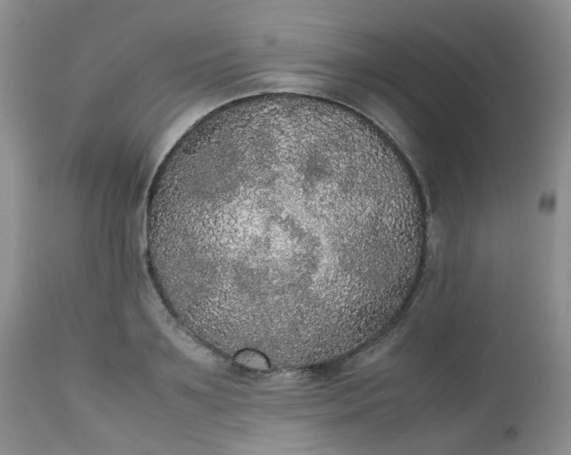 X0000112530891200908311420