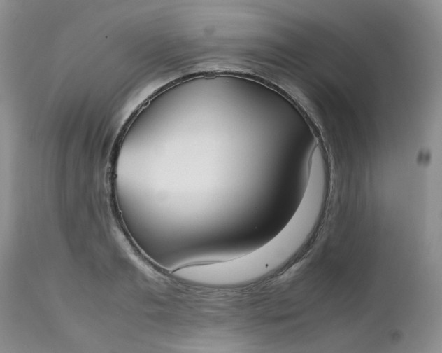 X0000112530893200908311420