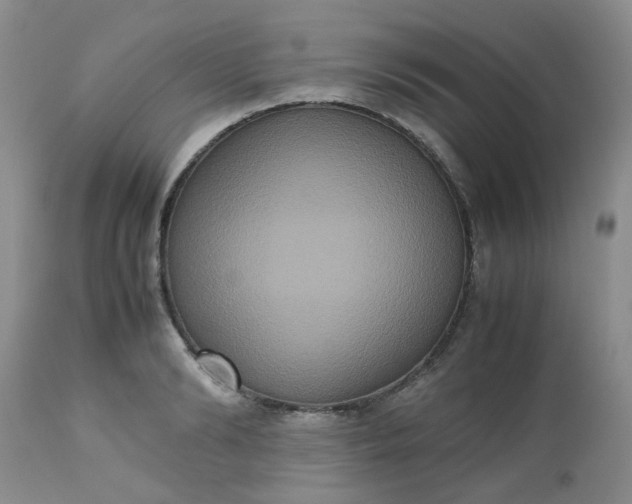 X0000112530894200908311420