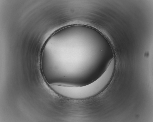 X0000112530896200908311420