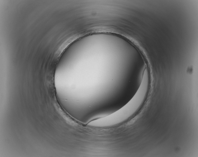 X0000112530897200908311420