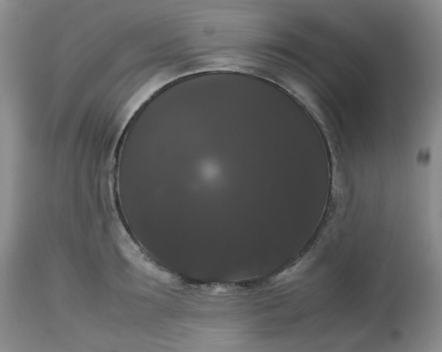 X0000112530899200908311420