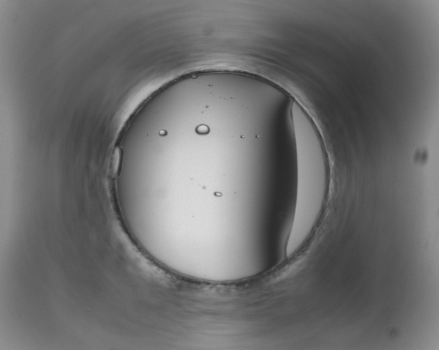 X0000112530901200908311420