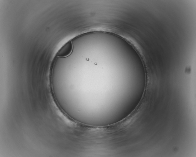 X0000112530902200908311420