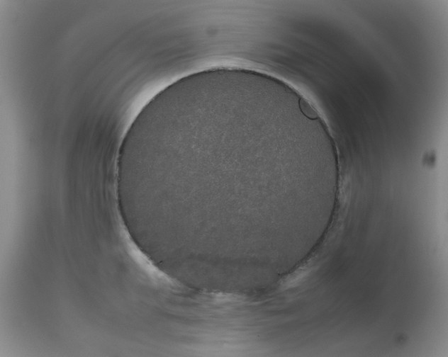 X0000112530903200908311420