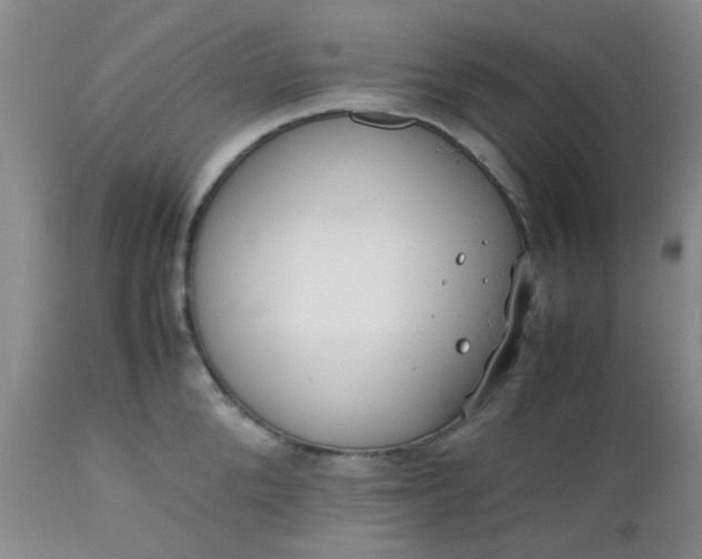 X0000112530904200908311420