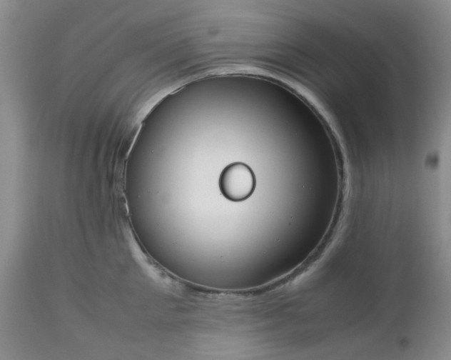 X0000112530905200908311420