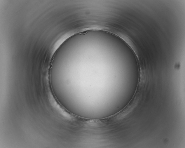 X0000112530906200908311420