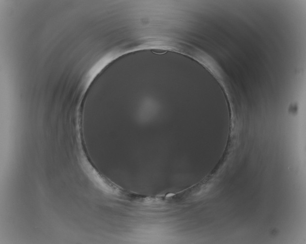X0000112530907200908311420