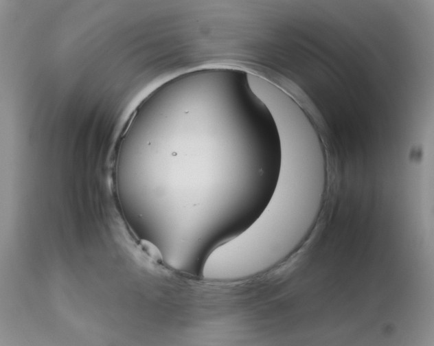 X0000112530908200908311420