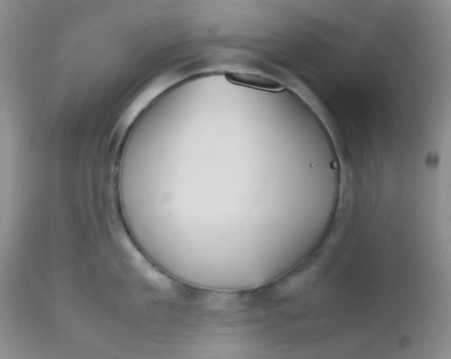 X0000112530909200908311420