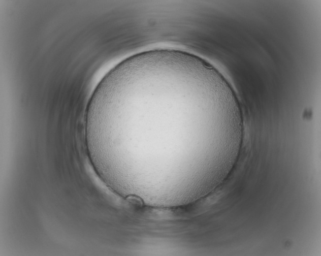 X0000112530911200908311420