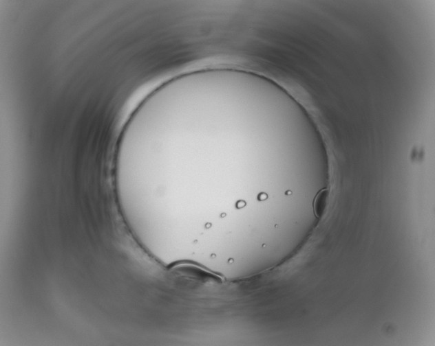 X0000112530912200908311420