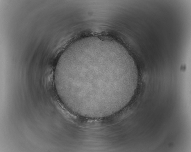 X0000112530914200908311419