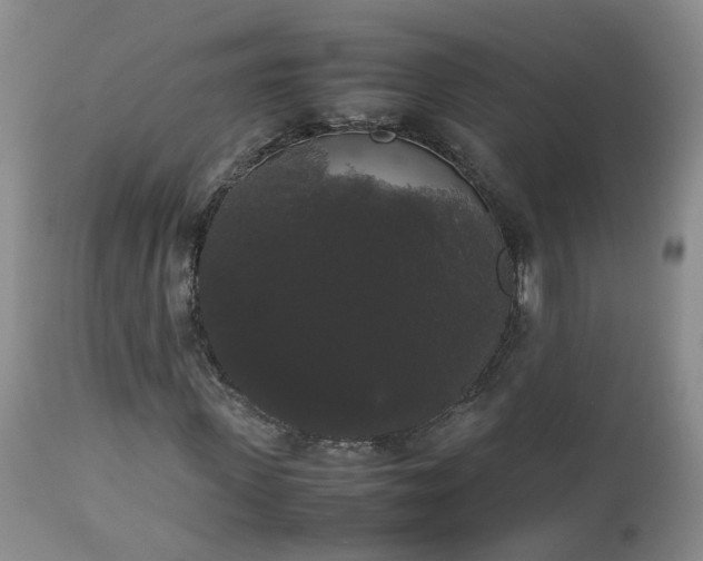X0000112530915200908311419