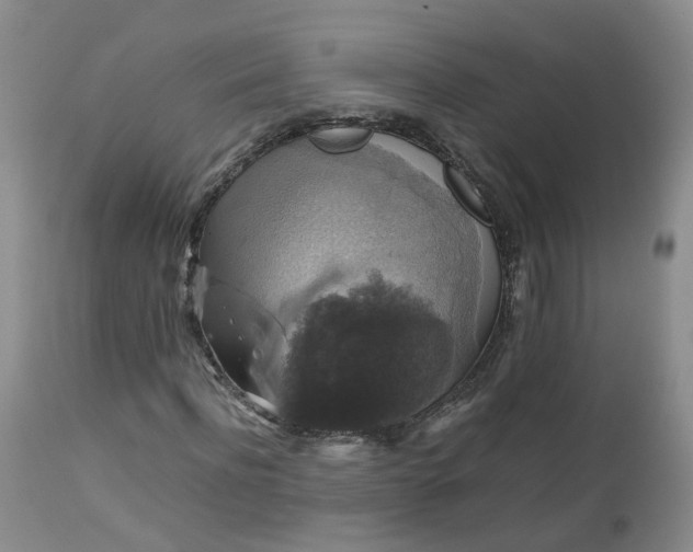 X0000112530916200908311419