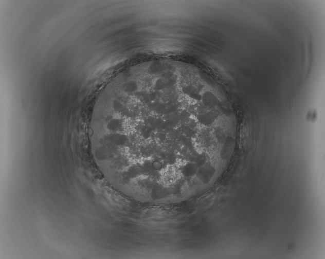 X0000112530917200908311419