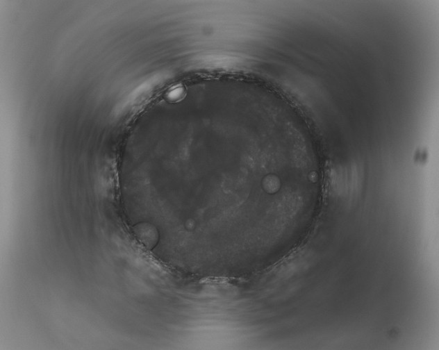 X0000112530918200908311419