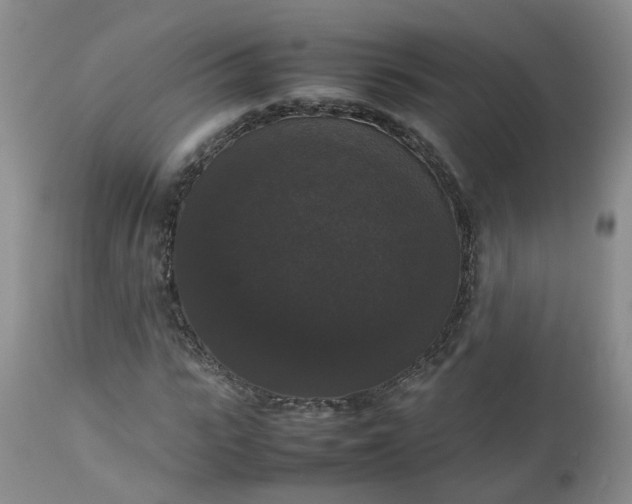 X0000112530919200908311419