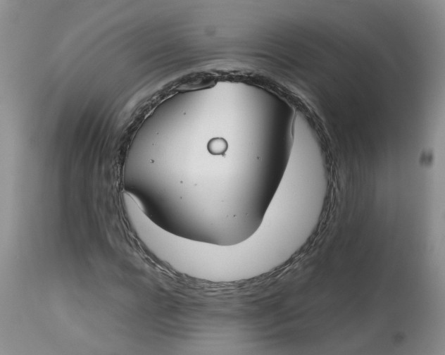 X0000112530920200908311419