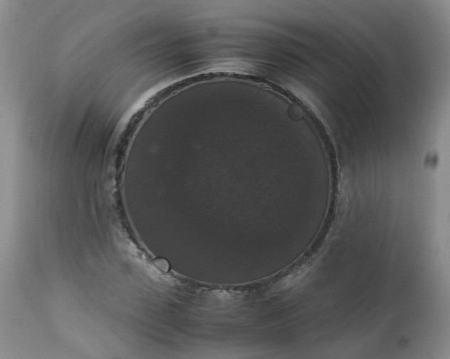 X0000112530923200908311419