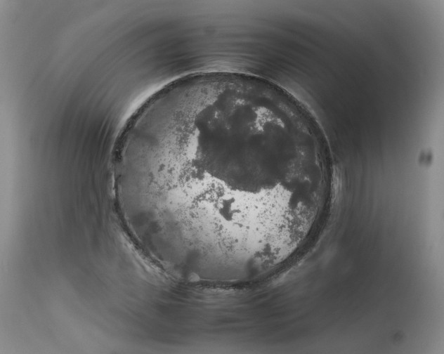 X0000112530925200908311419